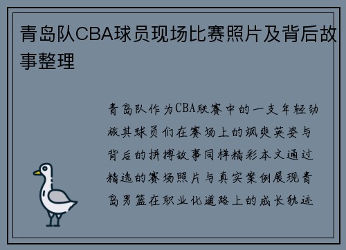 青岛队CBA球员现场比赛照片及背后故事整理